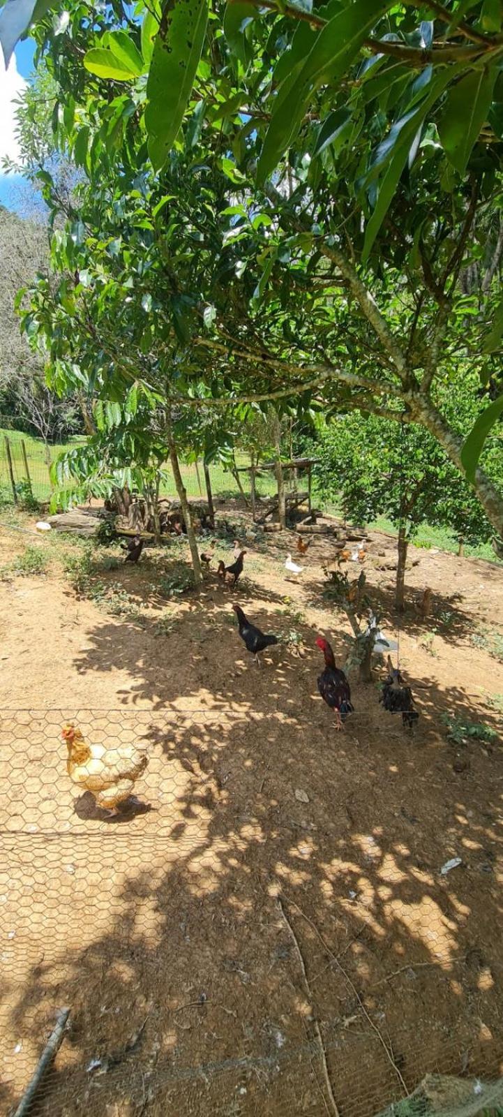 주키치바 Sitio Saramandaia 빌라 외부 사진